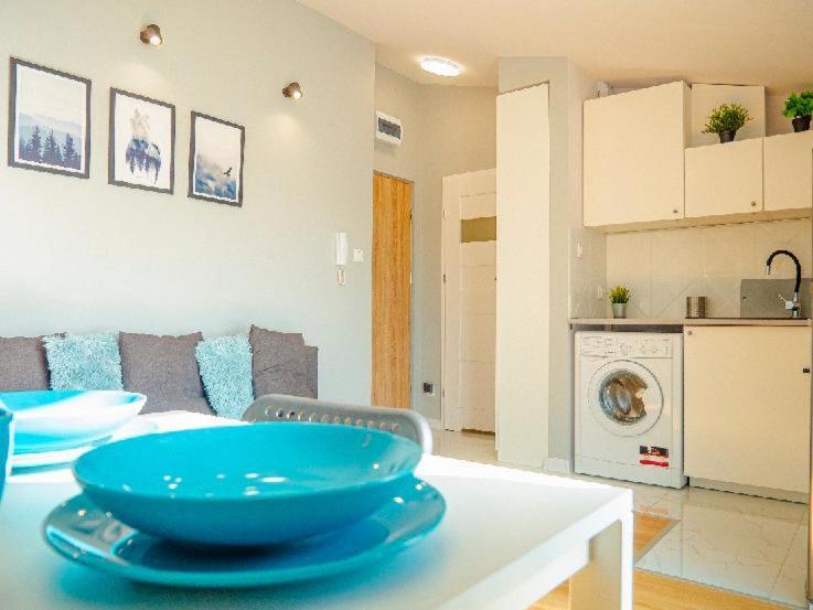 Kameralna Ukosna Apartment เบียวิสตอก ภายนอก รูปภาพ