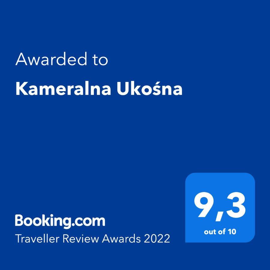 Kameralna Ukosna Apartment เบียวิสตอก ภายนอก รูปภาพ